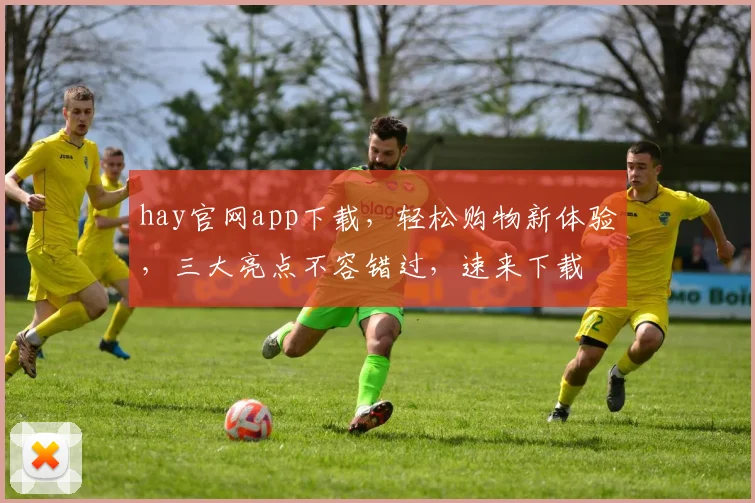 hay官网app下载，轻松购物新体验，三大亮点不容错过，速来下载